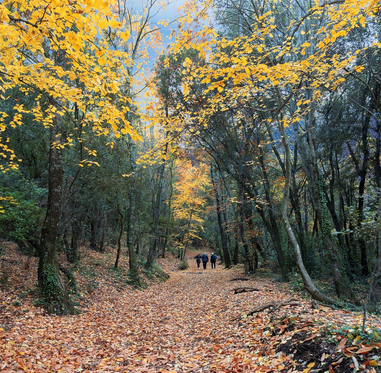 La Garrotxa en autocaravana y camper