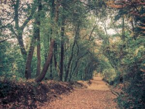 Viajar en el puente de diciembre en autocaravana y camper