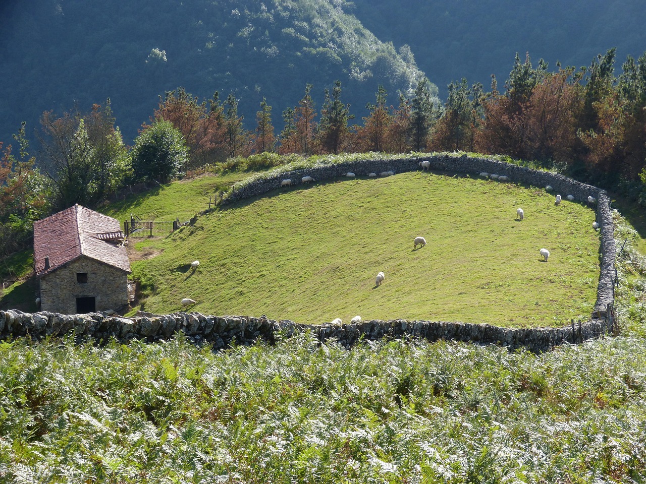 Norte de Navarra en autocaravana y camper