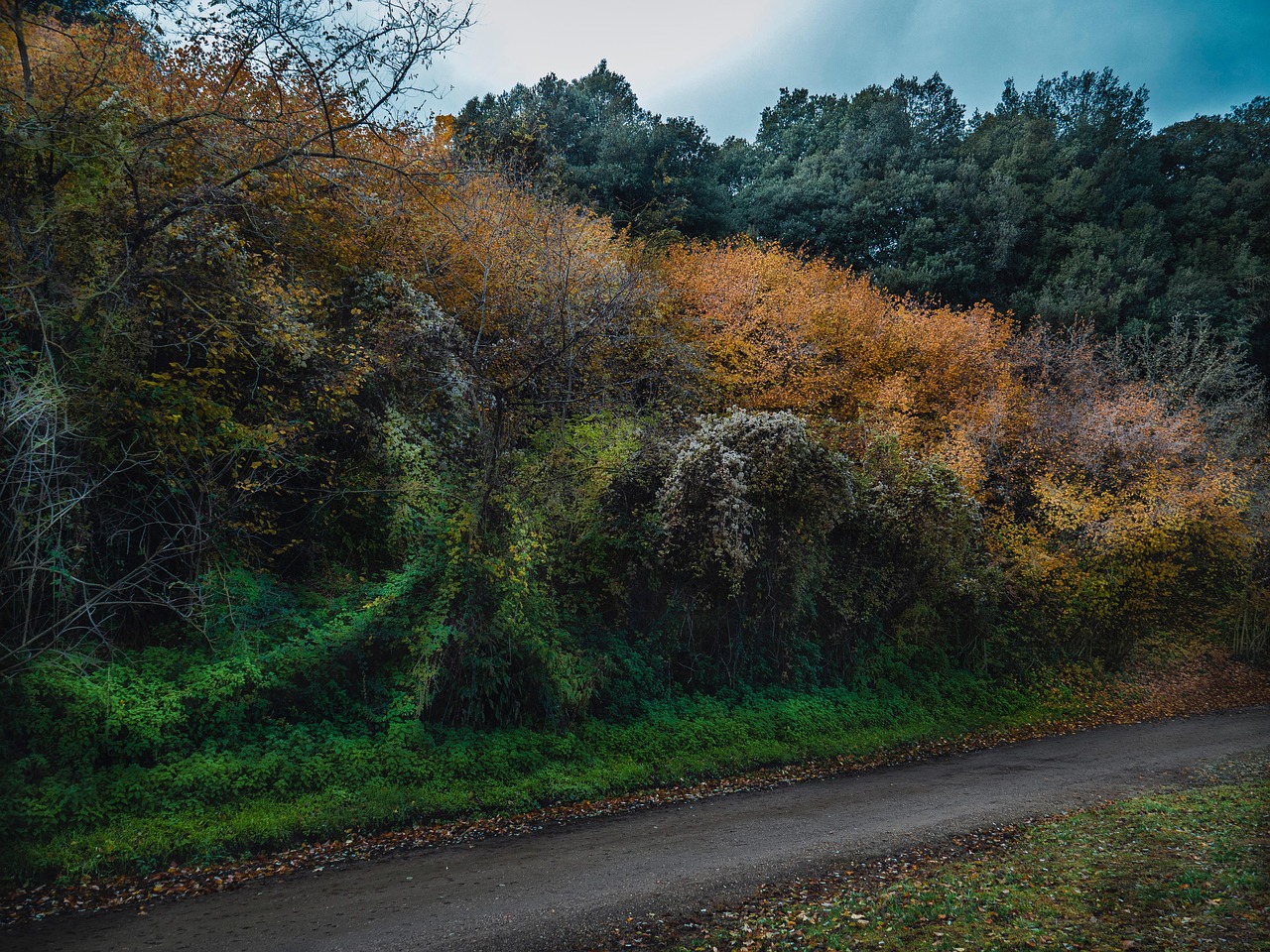 La Garrotxa en autocaravana y camper